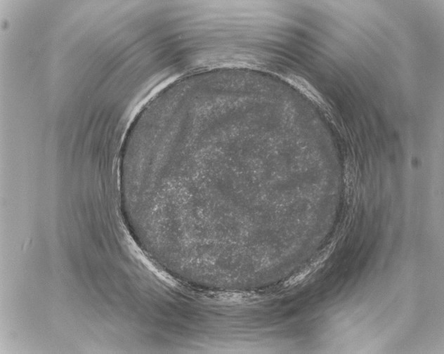 X0000057090790200510071910