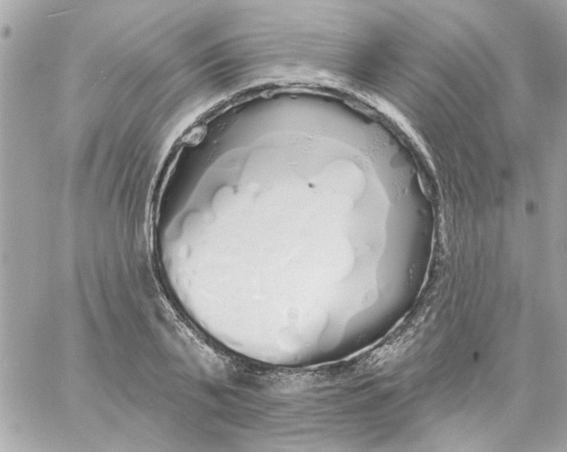 X0000057090791200510071910