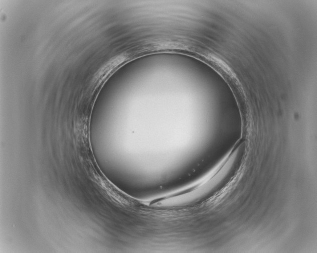 X0000057090793200510071910