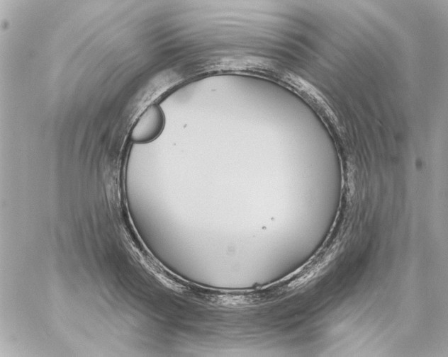 X0000057090794200510071910