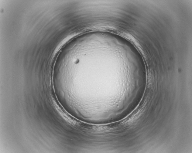 X0000057090795200510071910