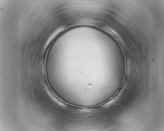 X0000057090796200510071910