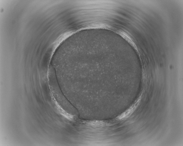 X0000057090797200510071910