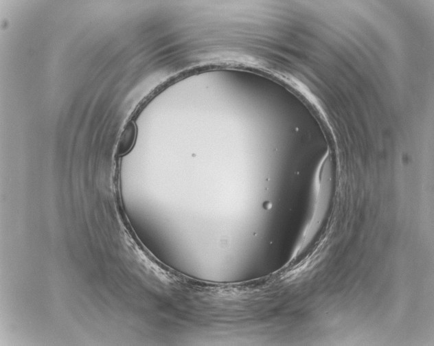 X0000057090799200510071910