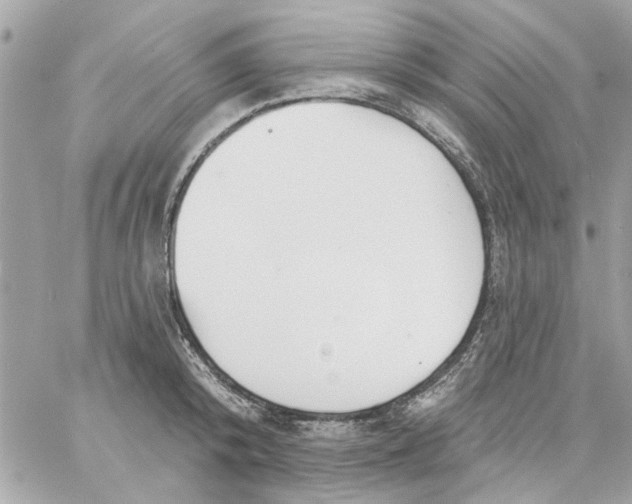 X0000057090800200510071910