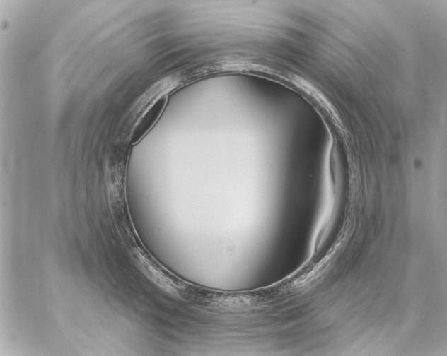 X0000057090801200510071910