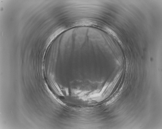 X0000057090802200510071910