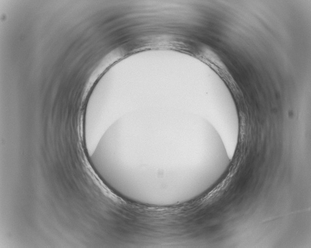 X0000057090804200510071910