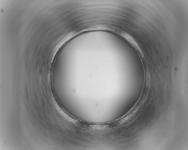 X0000057090805200510071910