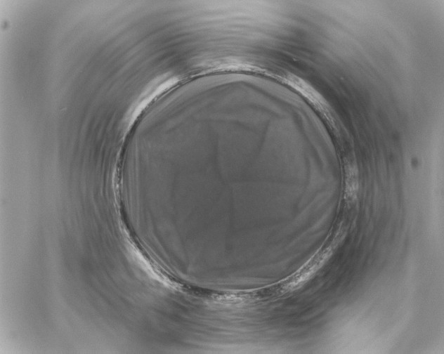 X0000057090806200510071909