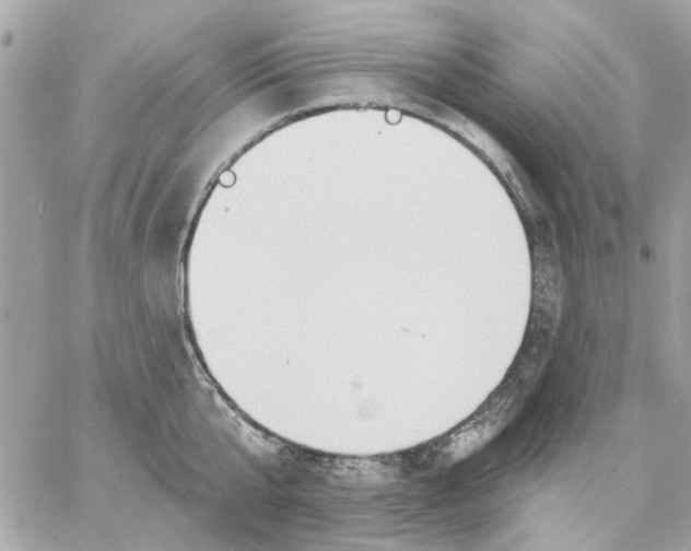 X0000057090807200510071909