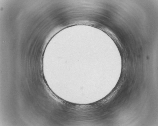 X0000057090808200510071909