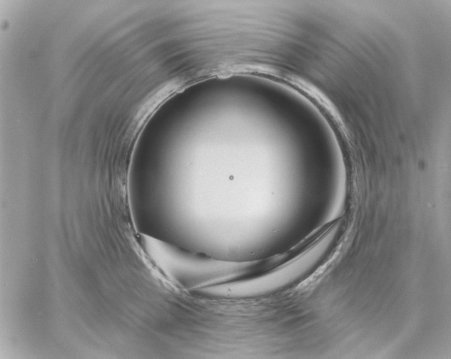 X0000057090809200510071909