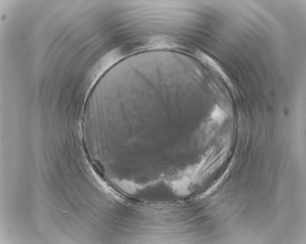 X0000057090810200510071909