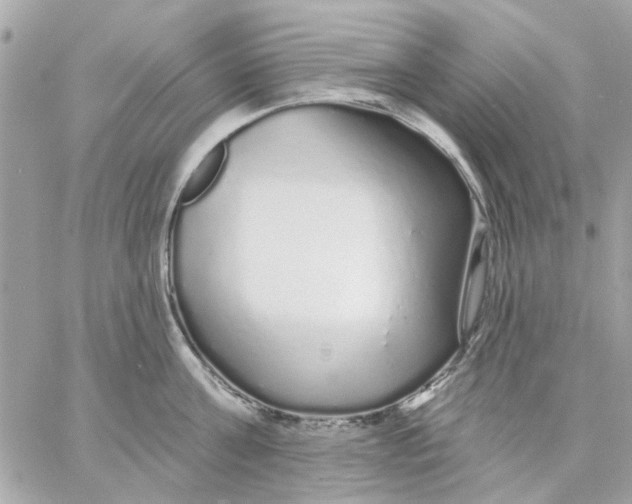 X0000057090811200510071909