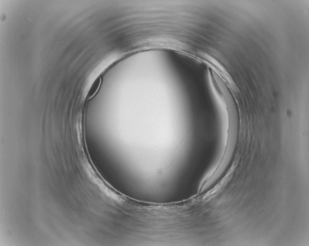 X0000057090812200510071909