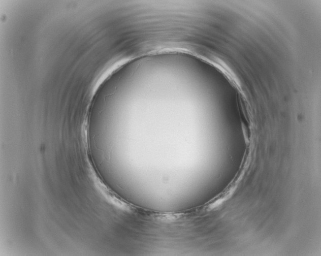 X0000057090814200510071909