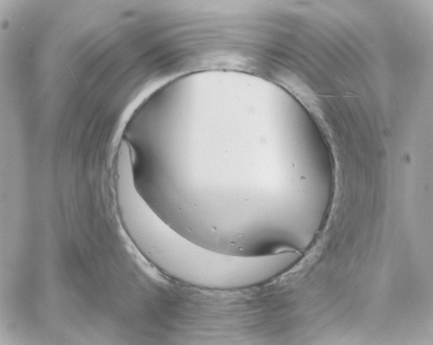 X0000057090816200510071909