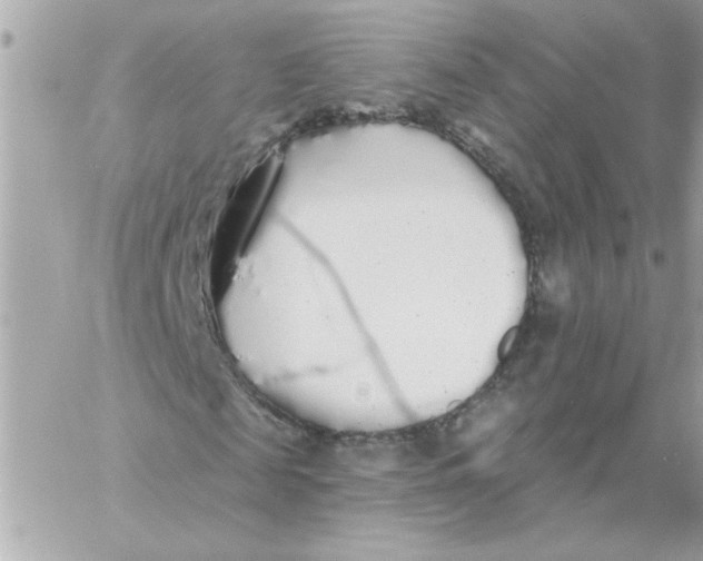 X0000057090817200510071909