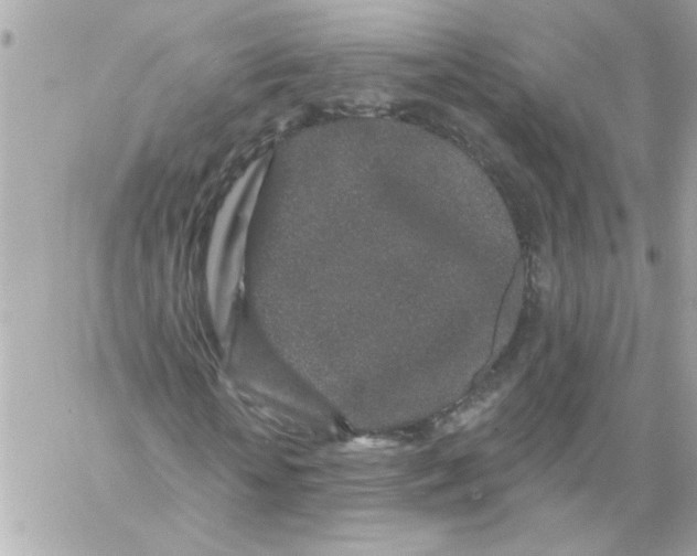 X0000057090818200510071909