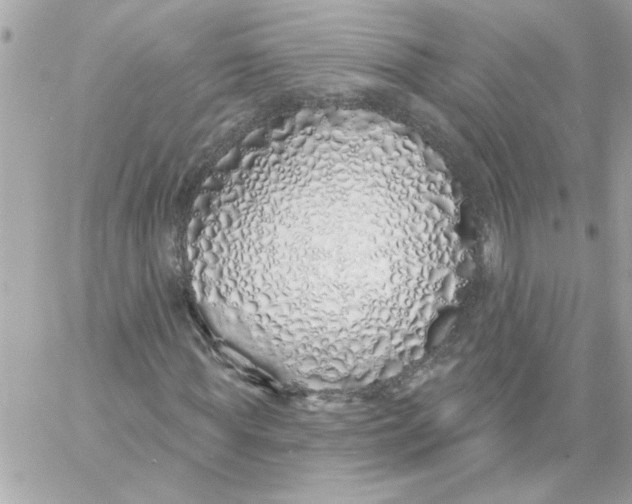 X0000057090819200510071909