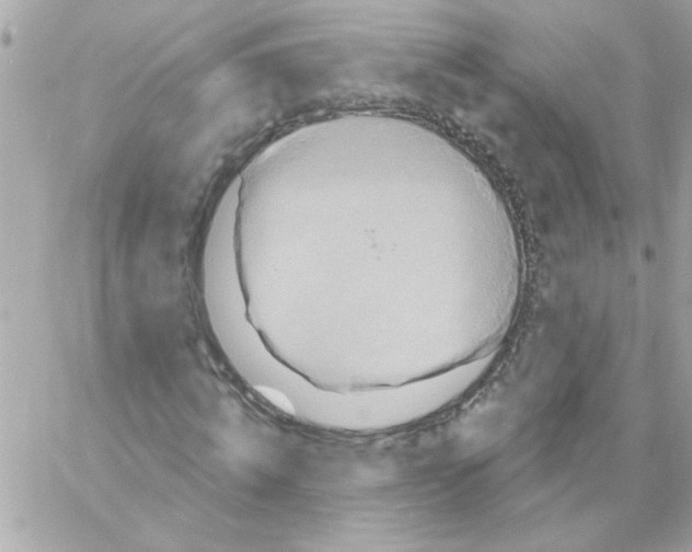 X0000057090820200510071909