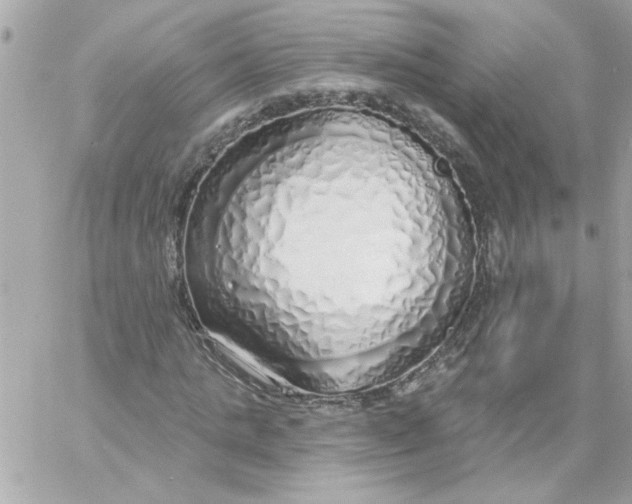 X0000057090821200510071909