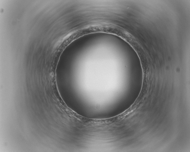 X0000057090822200510071909