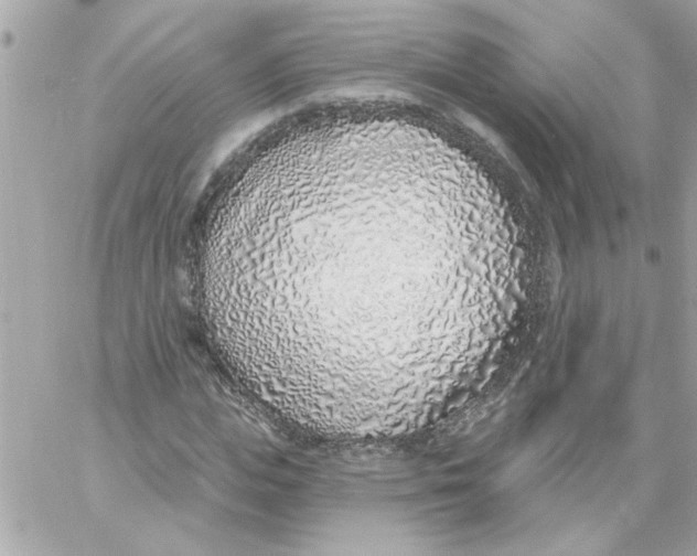 X0000057090823200510071909