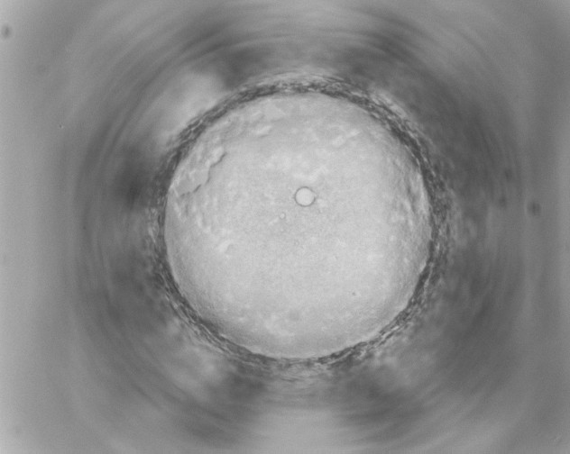 X0000057090824200510071909