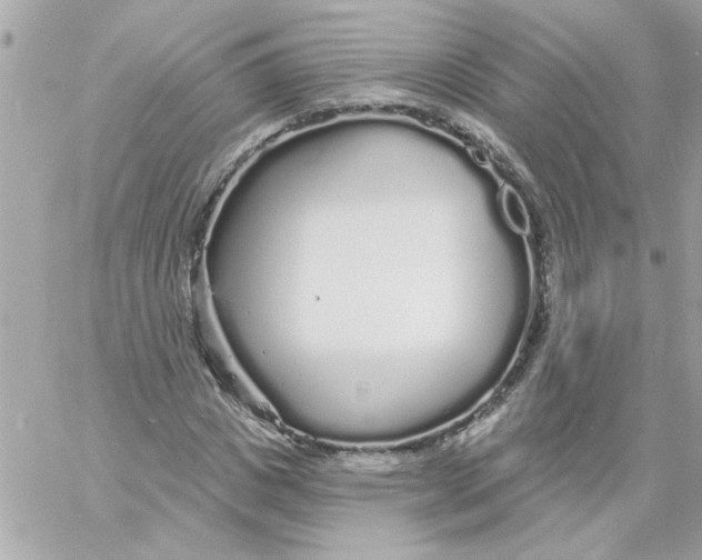 X0000057090825200510071909