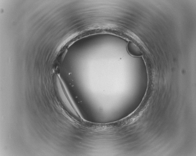 X0000057090826200510071909