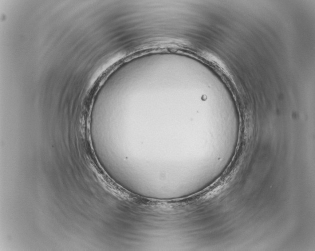 X0000057090827200510071909