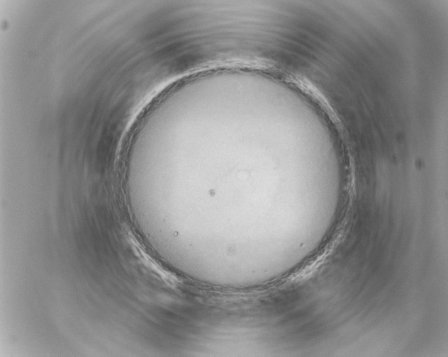 X0000057090828200510071909