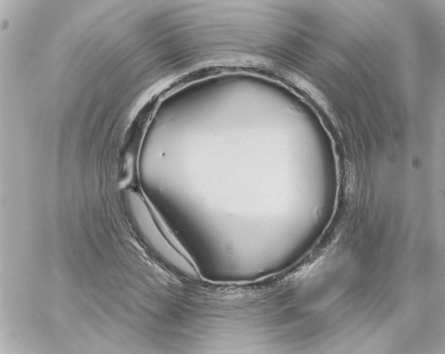 X0000057090829200510071909