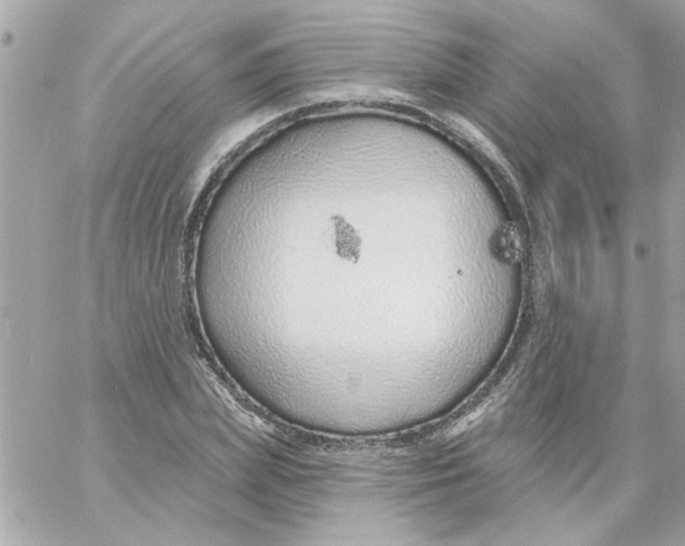 X0000057090831200510071909