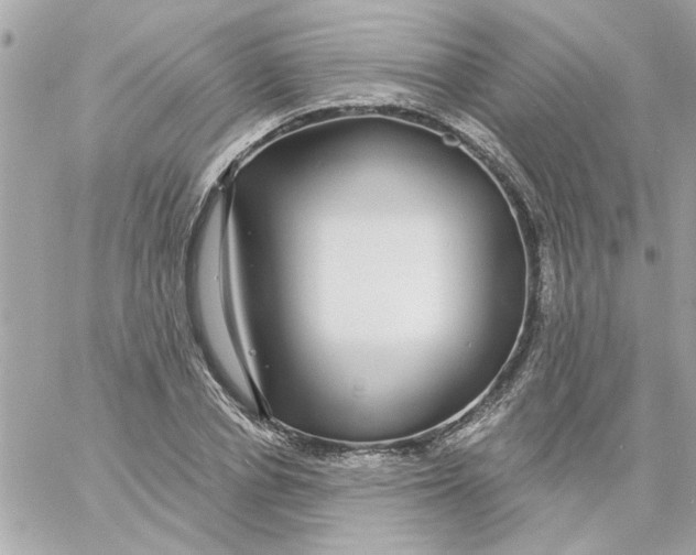 X0000057090834200510071909