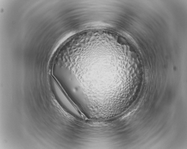 X0000057090835200510071909