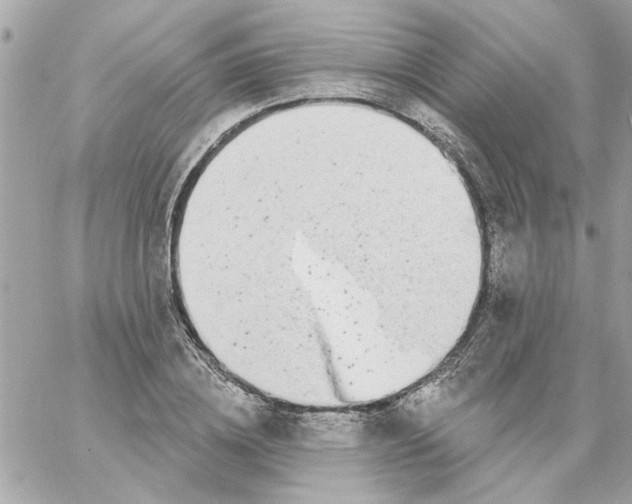 X0000057090836200510071909