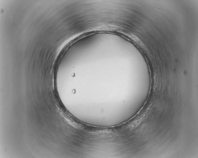 X0000057090838200510071909