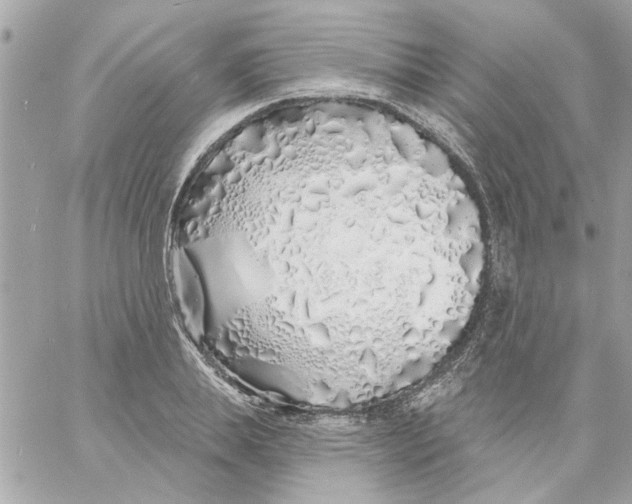 X0000057090839200510071909