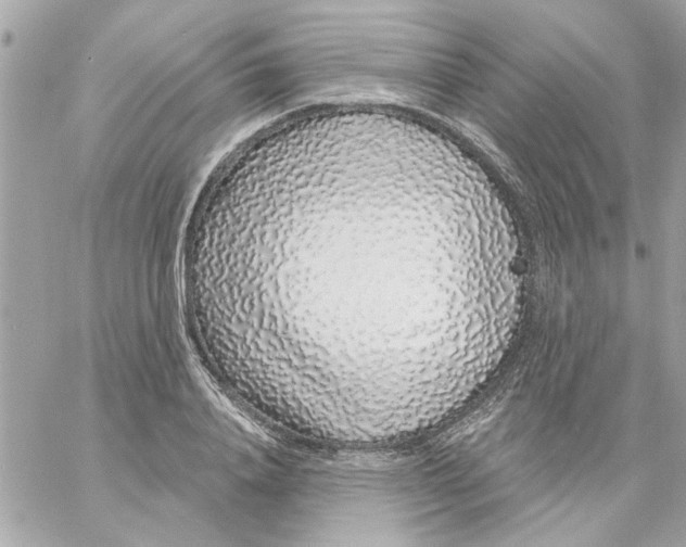 X0000057090840200510071909