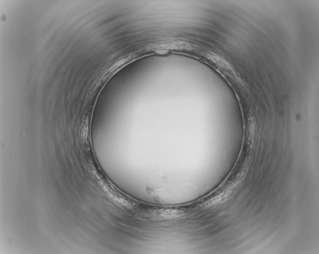 X0000057090841200510071909