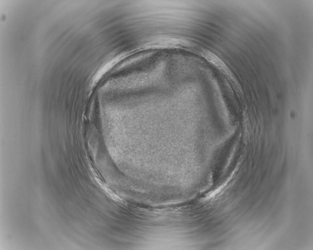 X0000057090842200510071909