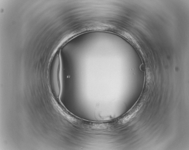 X0000057090843200510071909