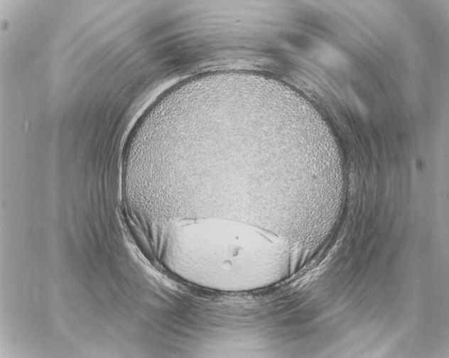 X0000057090844200510071909