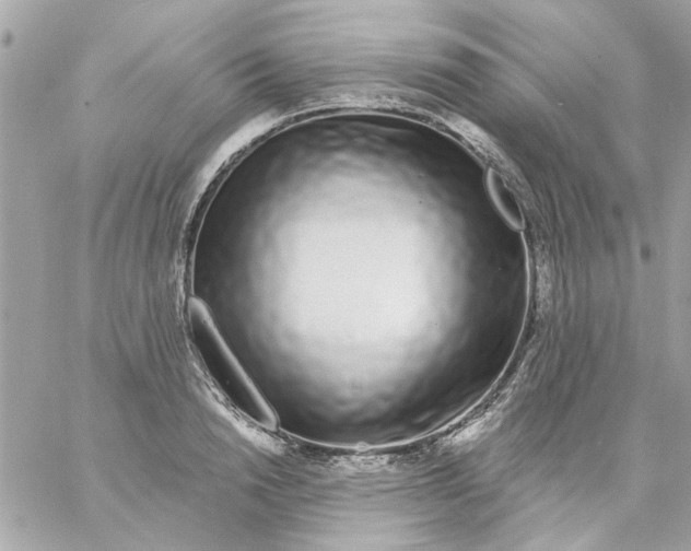 X0000057090846200510071909