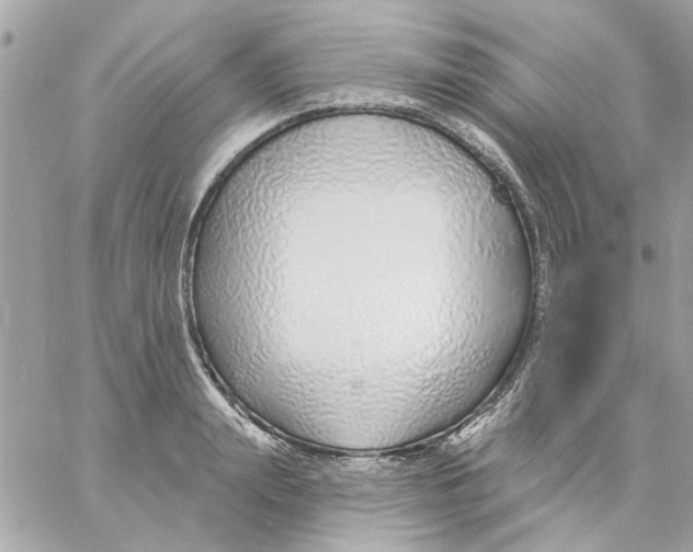 X0000057090847200510071909