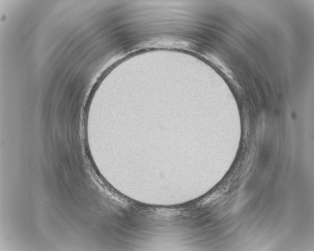 X0000057090848200510071909