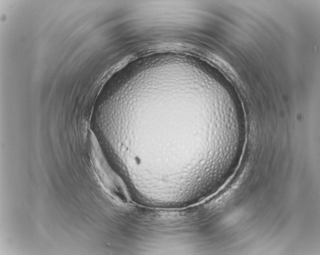 X0000057090849200510071909